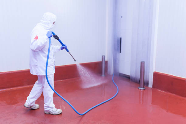 Best Deck and Patio Pressure Washing in Blair, WI